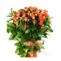 Alive Orange Flower