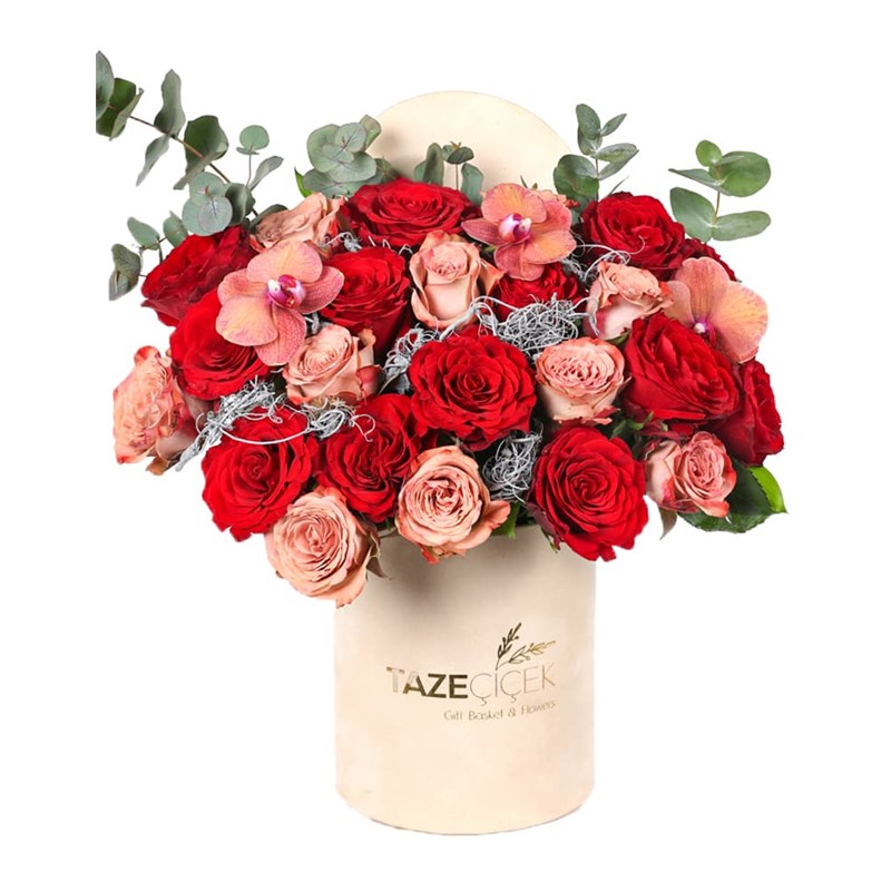 Egypt Tone Roses