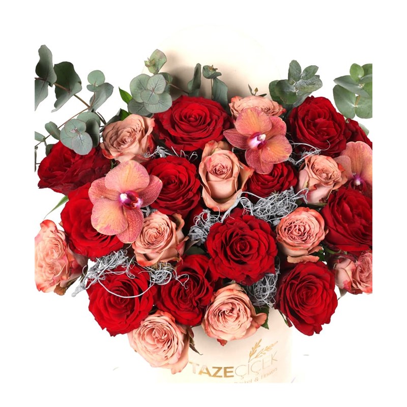 Egypt Tone Roses