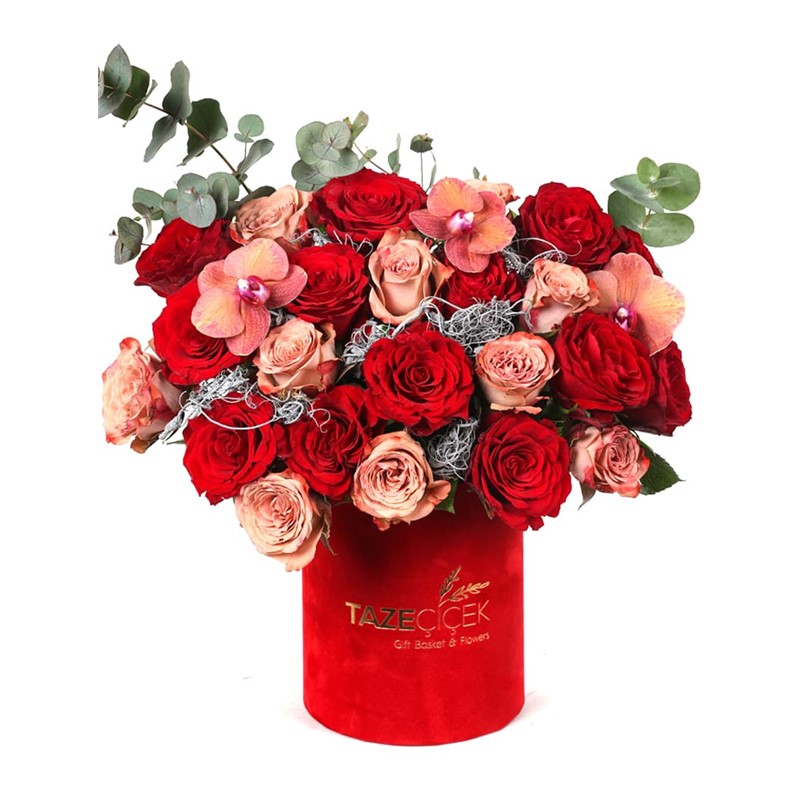Fire Color Tone Roses