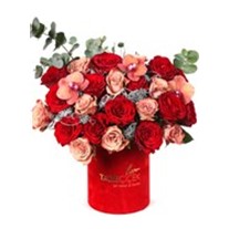 Fire Color Tone Roses