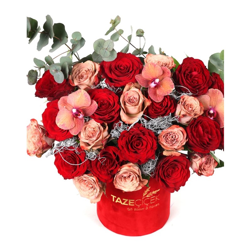 Fire Color Tone Roses