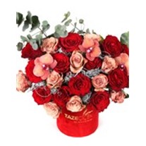 Fire Color Tone Roses