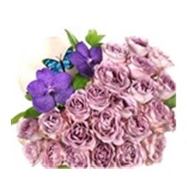 Lilac Roses Art