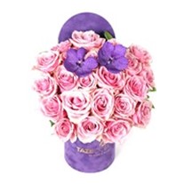 Rose Feast