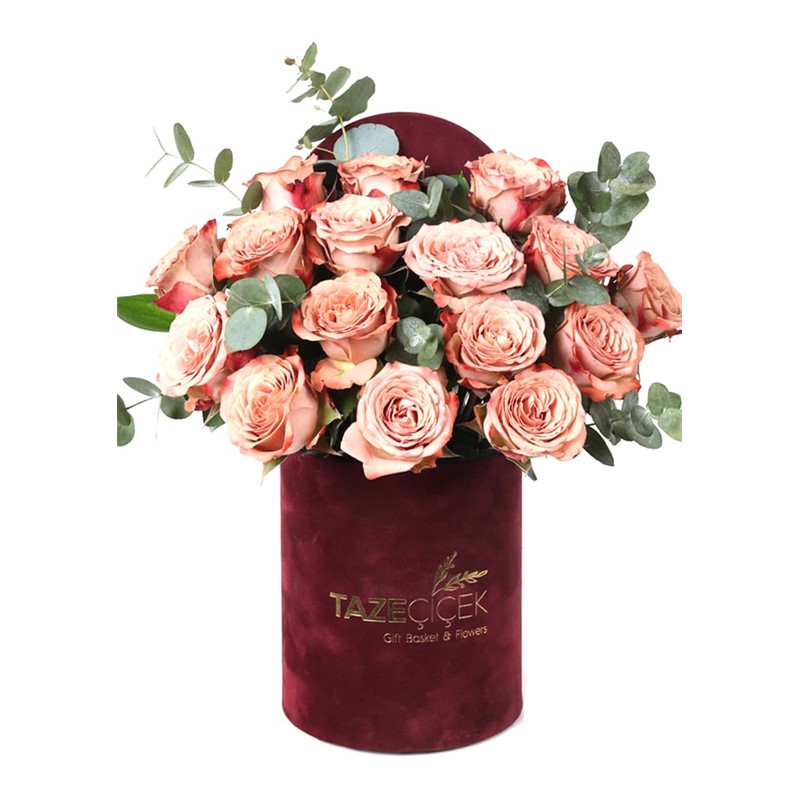 Desert Color Roses