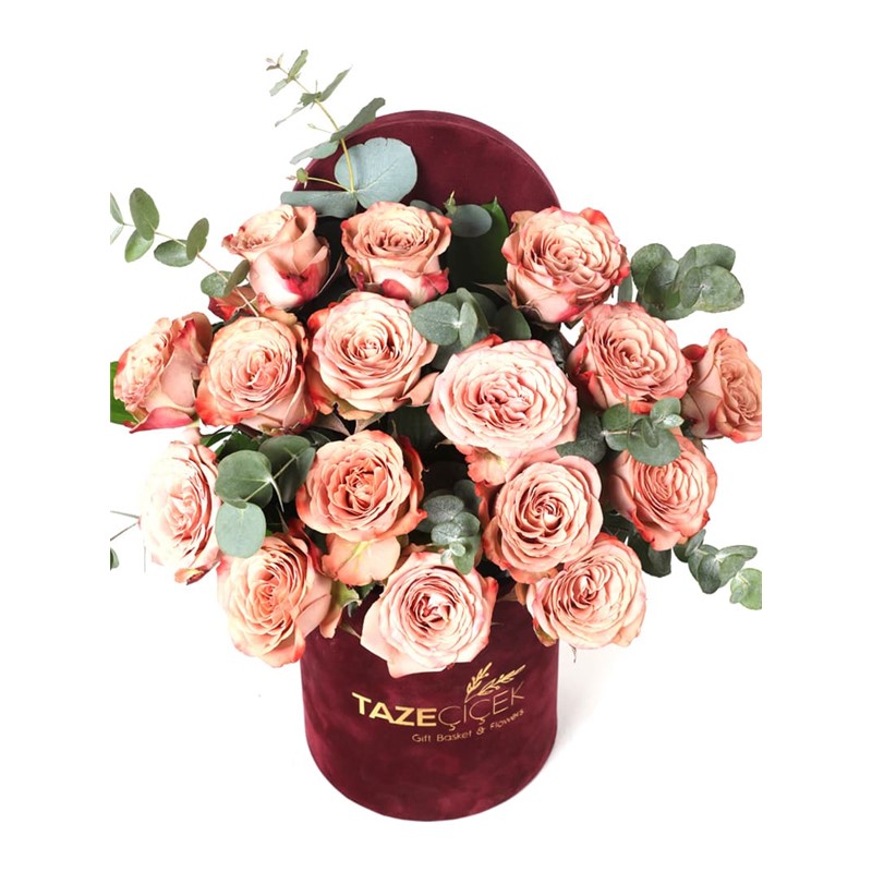 Desert Color Roses