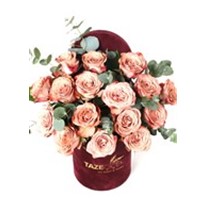 Desert Color Roses