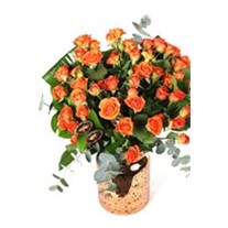 Orange Scented Rose Feast