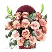 Roses Smelling Like Coffee