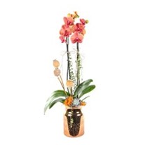 Sunset Vase