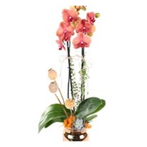 Sunset Vase