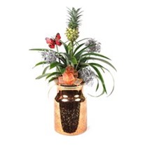 Luxury Pineapple