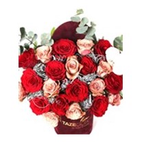 Color Of Love