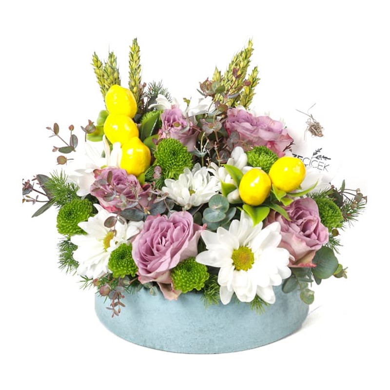 Lemon Daisy