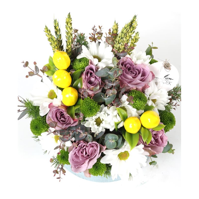 Lemon Daisy