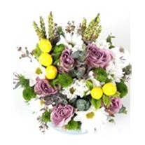 Lemon Daisy