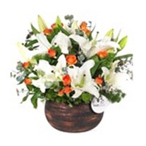 Orange Lily Melody