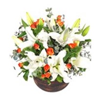 Orange Lily Melody