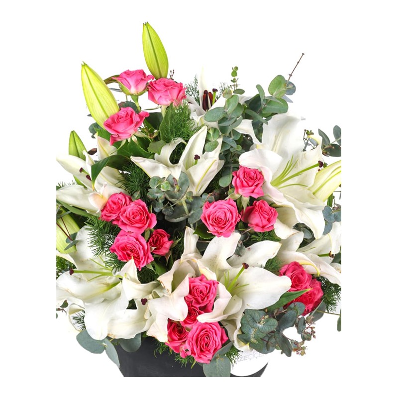 Pink Lily Melody