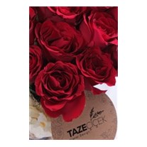In Love 19 Premium Kırmızı Gül