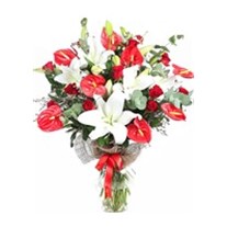 White Lily Melody