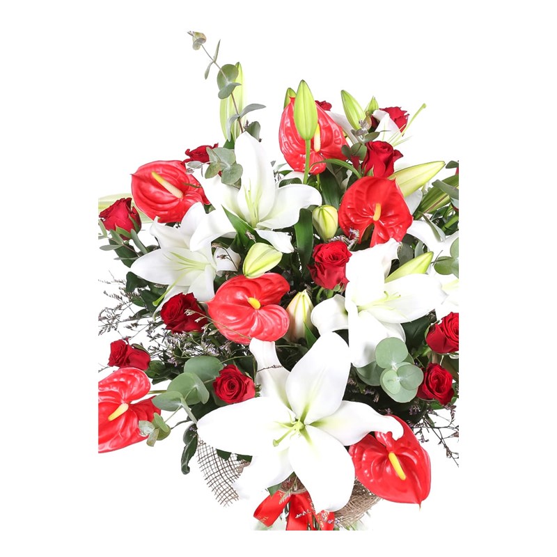 White Lily Melody