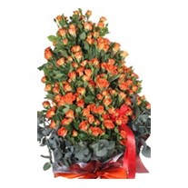 Orange Dreams Çardak Gül Buketi 100 cm