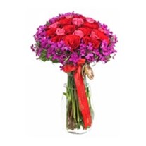 Regal Roses
