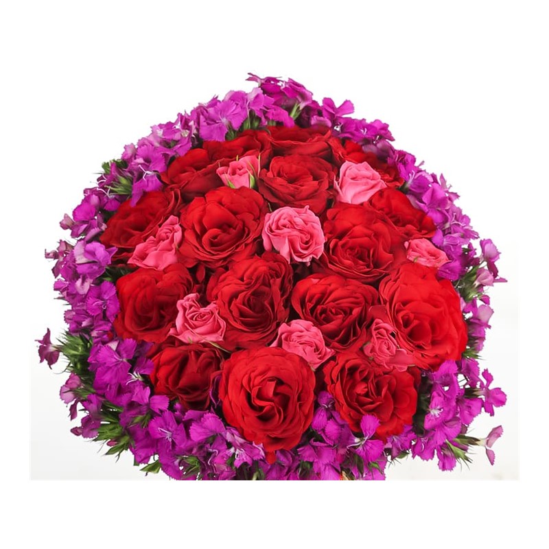 Regal Roses