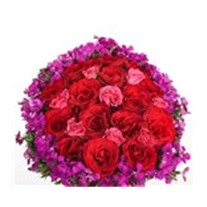 Regal Roses