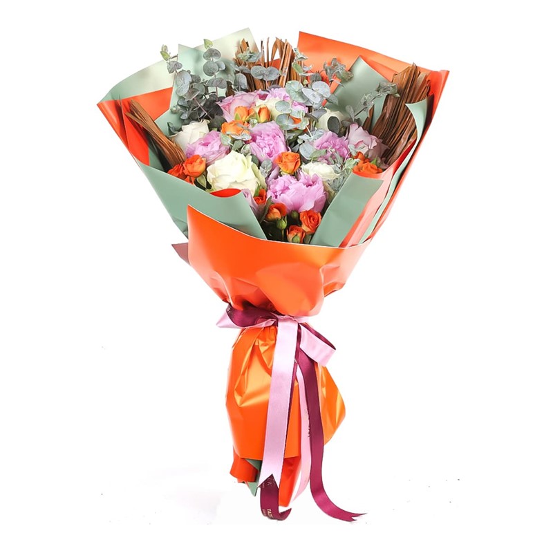 Peony Splendor Şakayık
