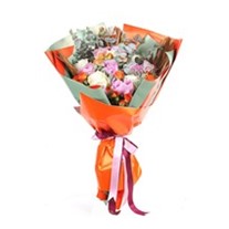 Peony Splendor Şakayık