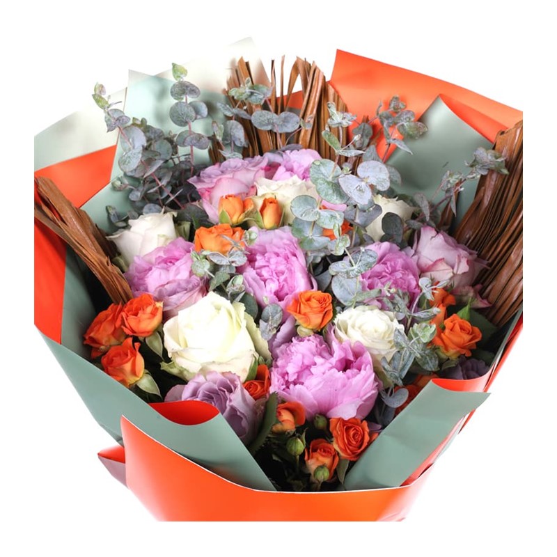 Peony Splendor Şakayık