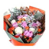 Peony Splendor Şakayık