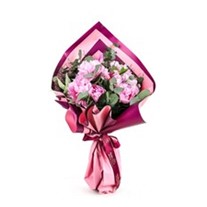 Pink Peony Dream