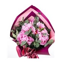Pink Peony Dream