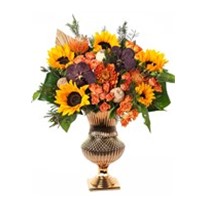 Sun Flower Fantasy