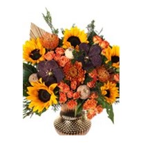Sun Flower Fantasy
