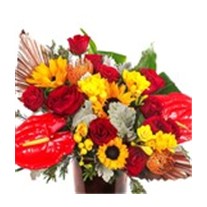Infrared Of Arrangement