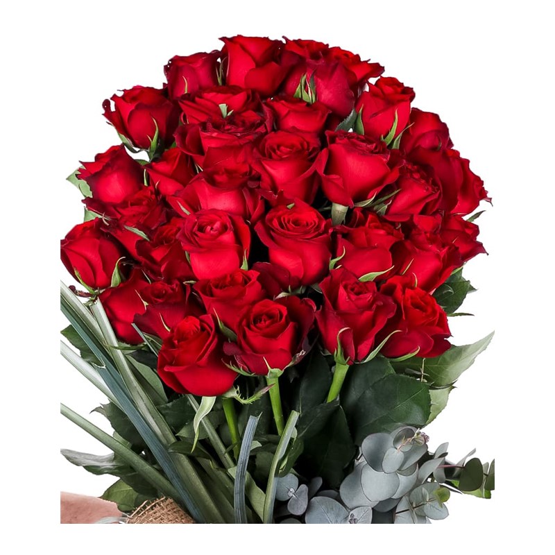 35 Red Roses Best Wonder 35 Red Roses-70cm Uzun | Taze Çiçek