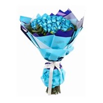 Magical Blue Dreams