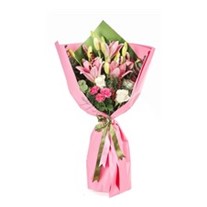 Sweety Pretty Pink Lilyum