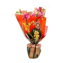 Warm & Full Of Love Mothers