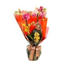 Warm & Full Of Love Mothers