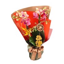 Warm & Full Of Love Mothers