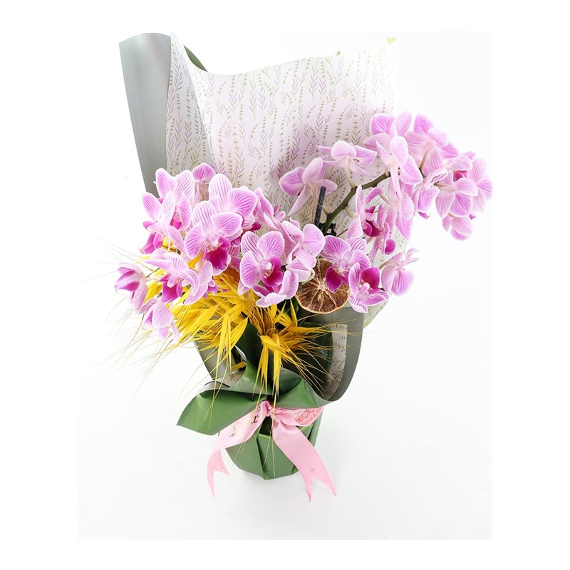 Caring Touch & Best Orkide