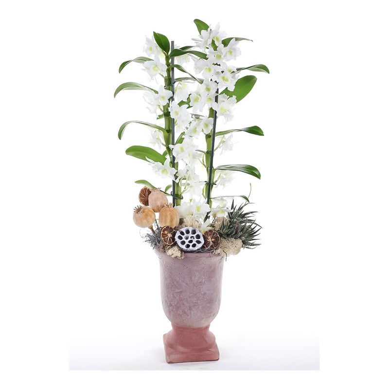 Ceramic Dendrobium Orkide