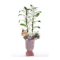 Ceramic Dendrobium Orkide