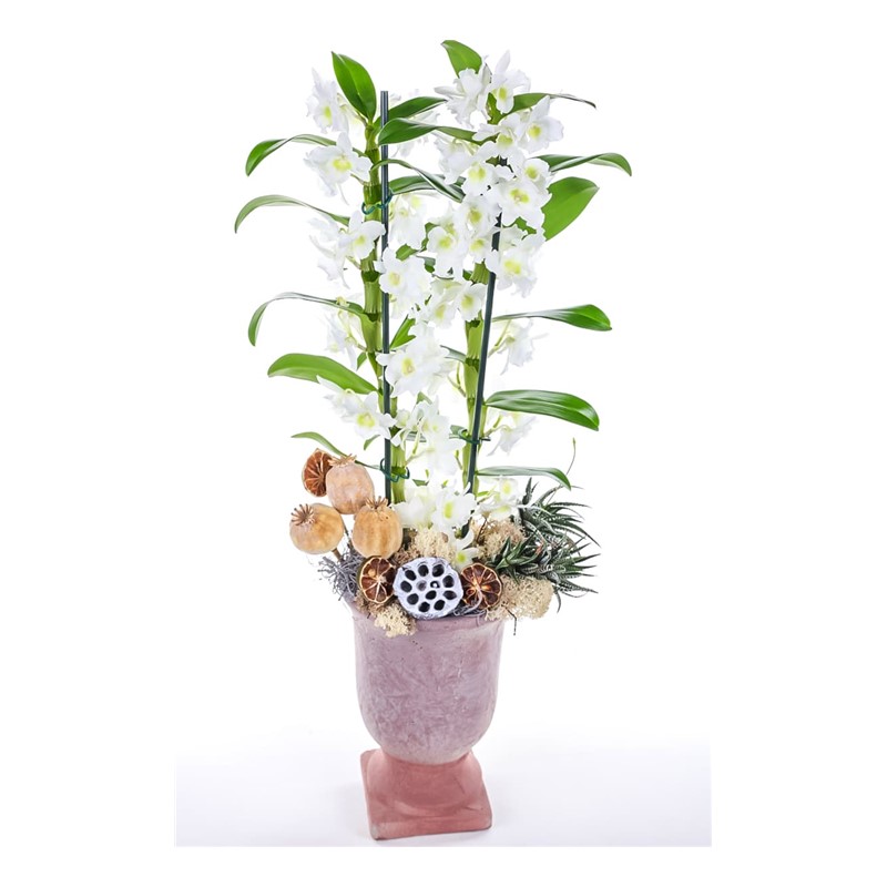 Ceramic Dendrobium Orkide